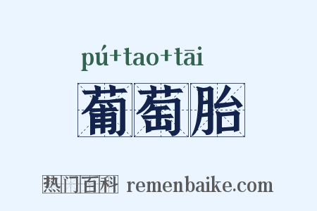 葡萄胎是什么意思的图片